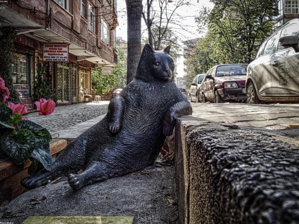 ការបង្ហាញពីស្លុត: ការយល់ដឹងអំពីវប្បធម៌រូបភាពស្លុត