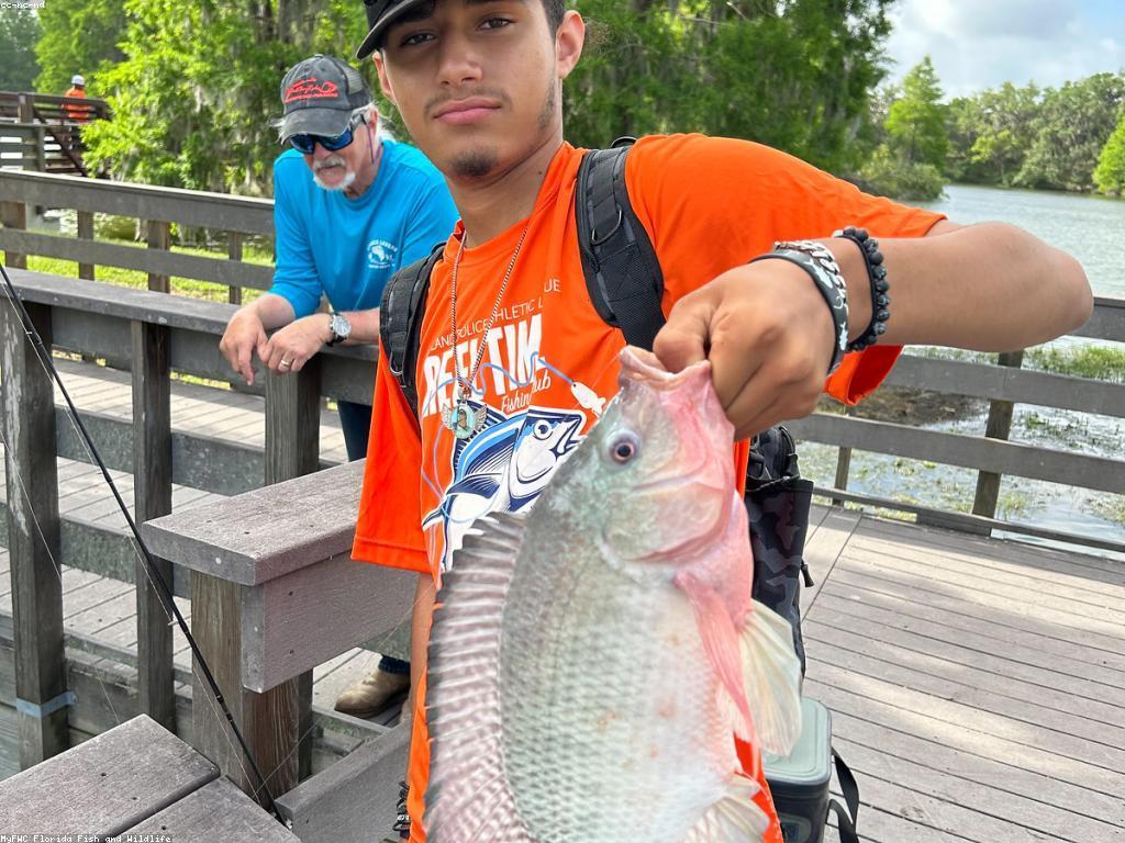 យុទ្ធសាស្ត្រសម្រាប់ការអប់រំដោយការលេង