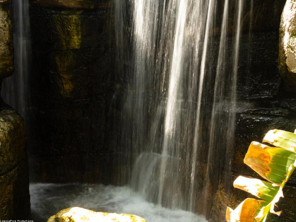 ការបង្ហាញពីស្លុត: ការអភិវឌ្ឍន៍និន្នាការថ្មីៗ